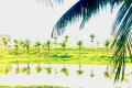 CẦN BÁN LÔ ĐẤT KHU R3 FPT - VIEW KÊNH SINH THÁI