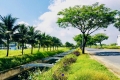 CẦN BÁN LÔ BIỆT THỰ TRỤC BẮC NAM ĐƯỜNG 9,5M - 238M2