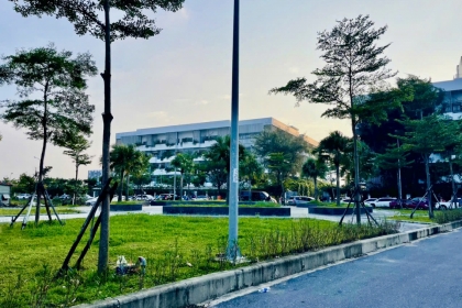 Lô Fpt trước trường đại học, kẹp vạch cây xanh 4m